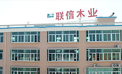 �D��(li��n)��ľ�I(y��) �c���ɷŴ�