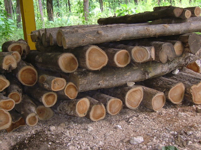 �D����˹�_(d��)��Ӯa(ch��n)��ľ �c(di��n)���ɷŴ�