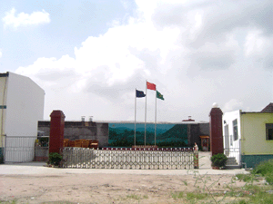 �D����˾���� �c���ɷŴ�