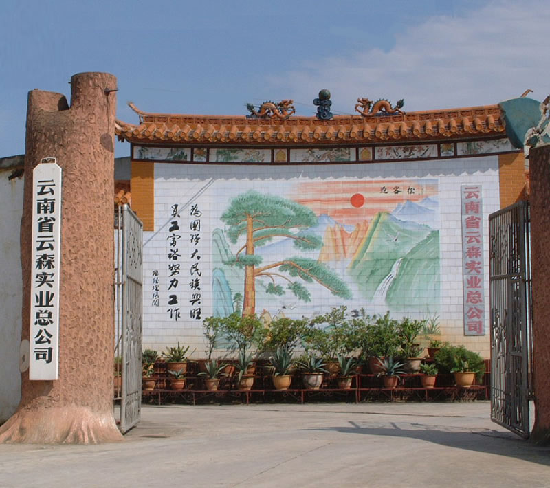 �D����˾��(sh��)�� �c(di��n)���ɷŴ�