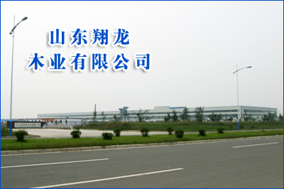 �D����˾���� �c���ɷŴ�