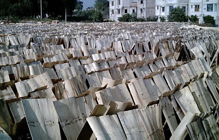 �D��?ji��n)ΰ��?ch��ng) �c(di��n)���ɷŴ�