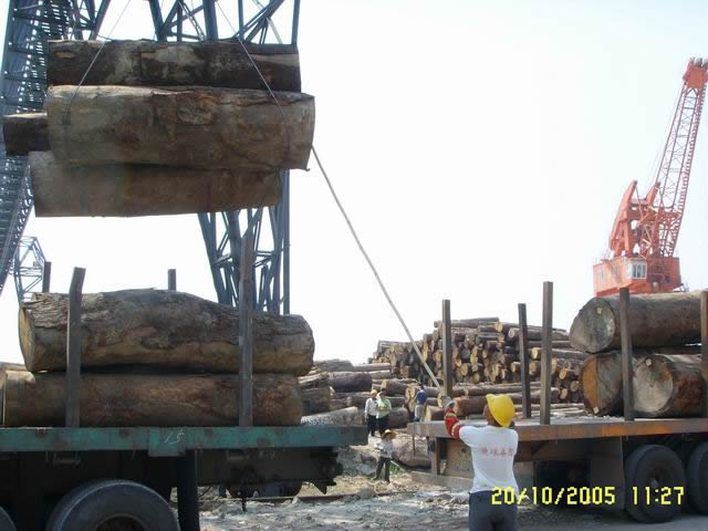 �D������a(ch��n)ԭľ �c(di��n)���ɷŴ�