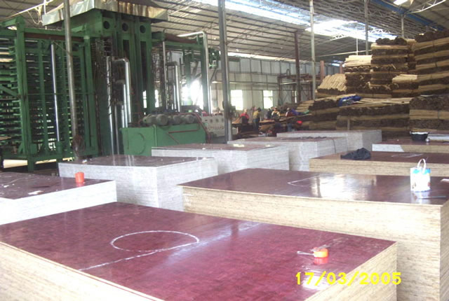 �D�����a(ch��n)܇�g �c���ɷŴ�