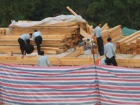 �D����������ľ���������(sh��)ľ���݈�(ch��ng)���DƬ �c(di��n)���ɷŴ�