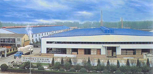 �D����˾�S�� �c���ɷŴ�