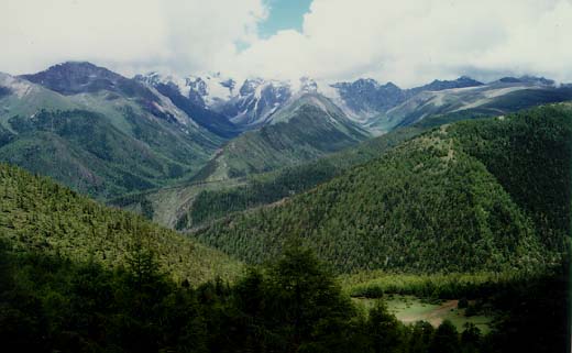 �D������ �c���ɷŴ�