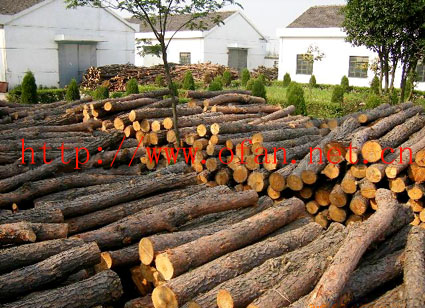 �D���a(ch��n)Ʒ �c(di��n)���ɷŴ�