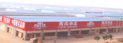 �D����˾�ٵ��T�� �c���ɷŴ�