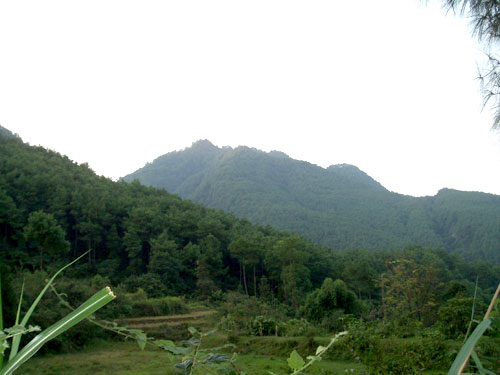 �D����˾���،��� �c���ɷŴ�