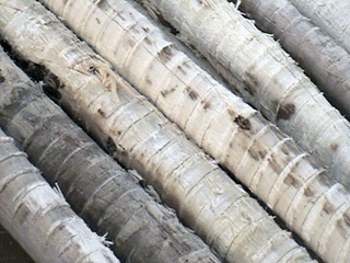 �D���h(hu��n)HBS220�Ą�ƤЧ�� �c(di��n)���ɷŴ�