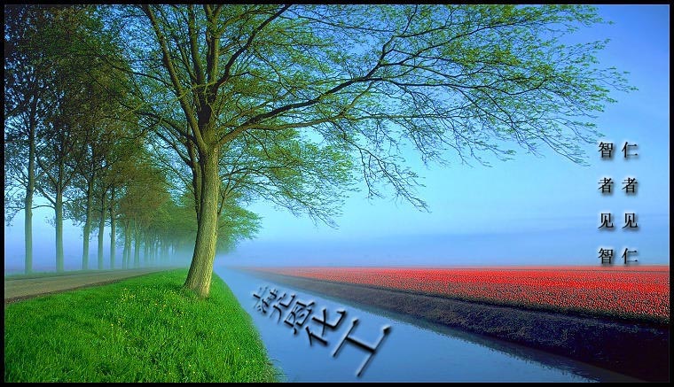 �D��company idea �c���ɷŴ�