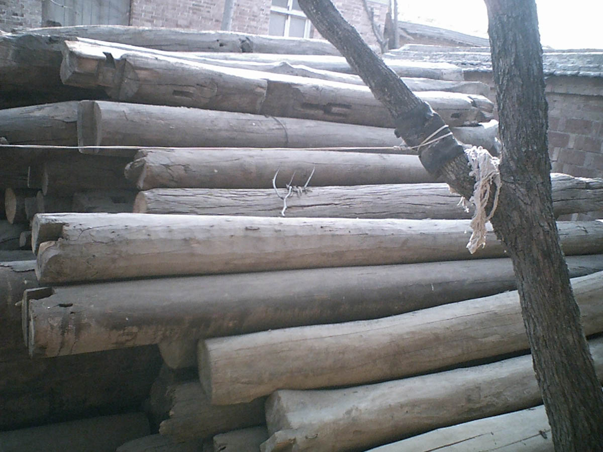 �D������ľ �c���ɷŴ�