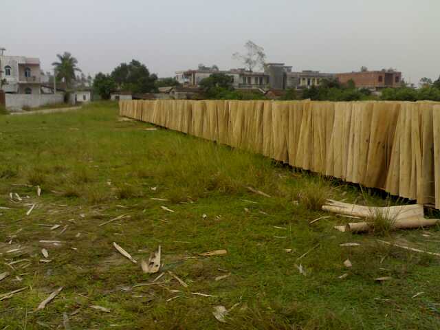 �D�����(ch��ng) �c(di��n)���ɷŴ�