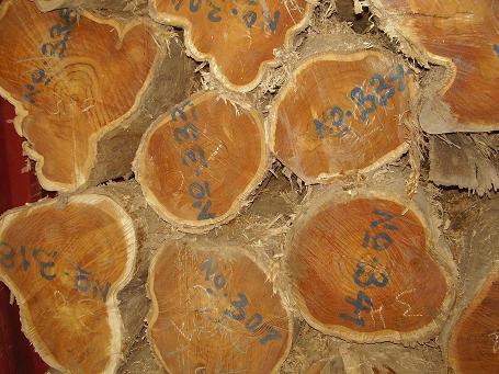 �D��̩��ԭľ���в� �c(di��n)���ɷŴ�