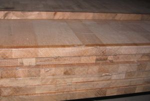 �D����SR-100�ӹ����ļ��ɲ� �c���ɷŴ�