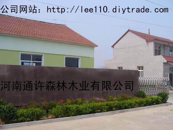 �D����˾���T �c(di��n)���ɷŴ�