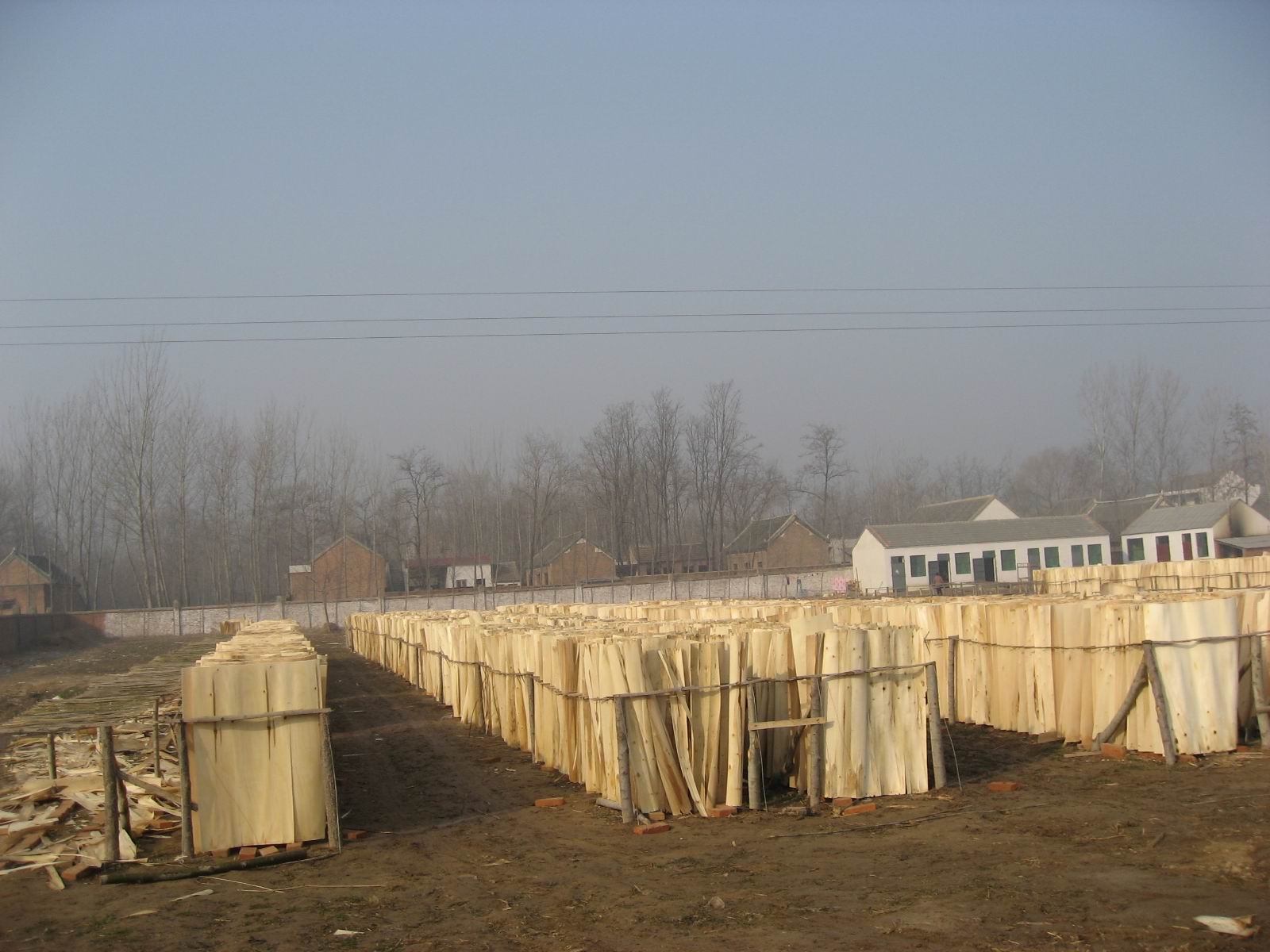 �D����ľ�ΰ� �c(di��n)���ɷŴ�