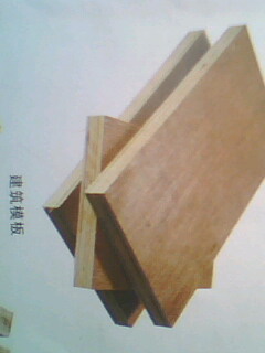 �D������ģ�� �c���ɷŴ�