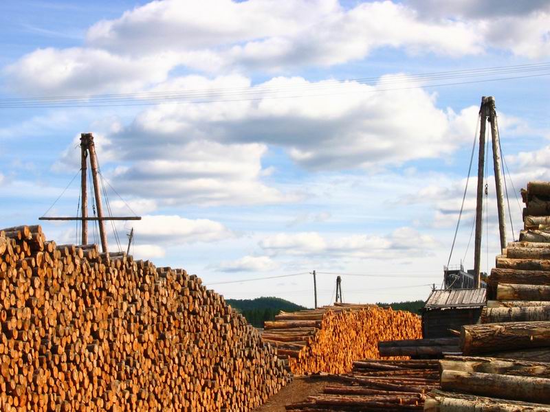 �D����ľ�� �c(di��n)���ɷŴ�