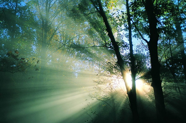 �D��    �c(di��n)���ɷŴ�