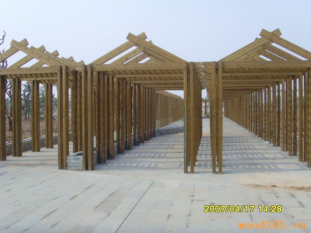 �D��ɭ����˾ �c(di��n)���ɷŴ�