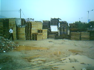 �D�����h(yu��n)����ǅ^(q��)(li��n)ɭ��ľ��(j��ng)�N�� �c(di��n)���ɷŴ�