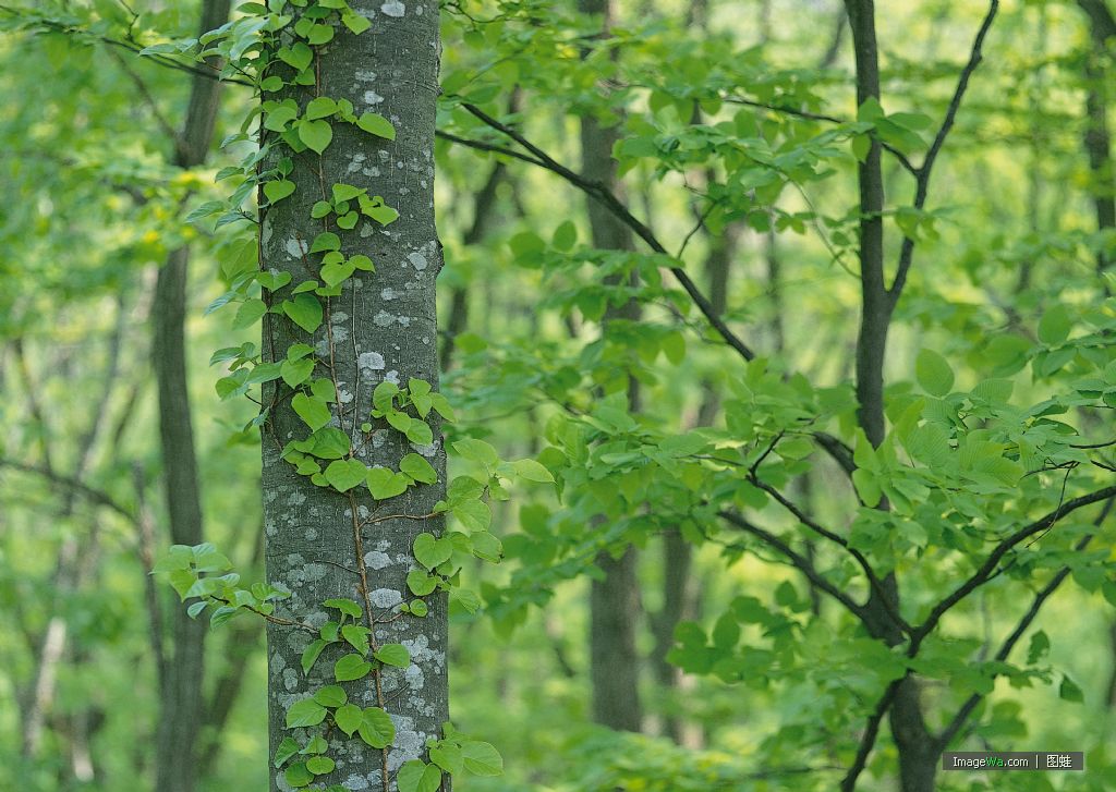 �D����˾ �c(di��n)���ɷŴ�