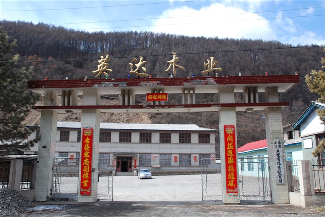 �D��Ӣ�_ľ�I(y��) �c���ɷŴ�