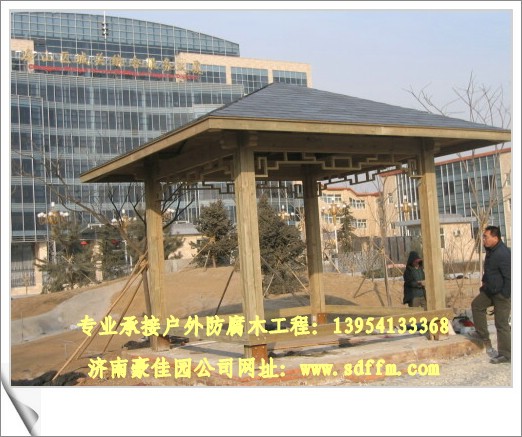 �D���x��÷���ľ-���Ϻ��҈@�gӭ�� �c���ɷŴ�