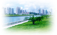 �D����˾���� �c(di��n)���ɷŴ�