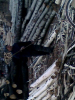 �D������һ�� �c���ɷŴ�