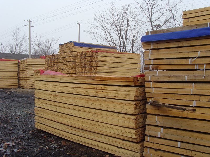 �D���}�� �c���ɷŴ�