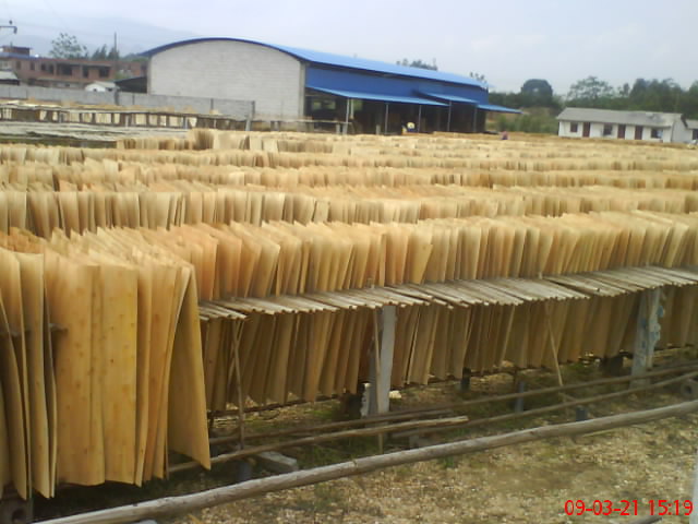 �D�����ΰ� �c���ɷŴ�