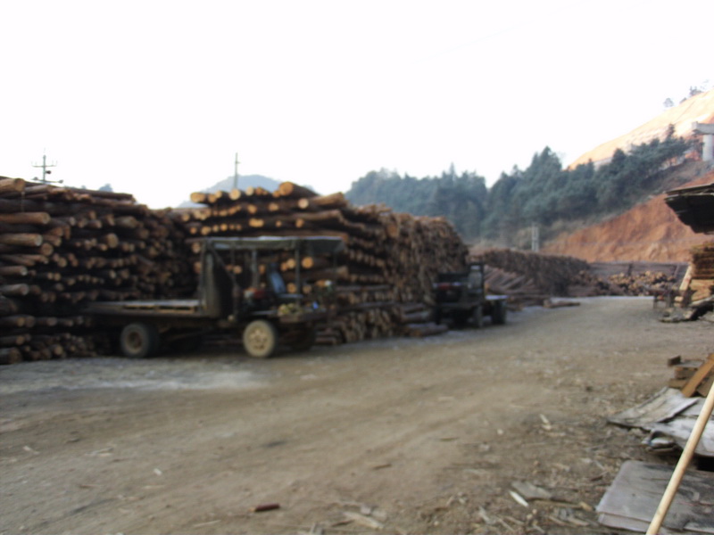 �D���S��(ch��ng) �c(di��n)���ɷŴ�