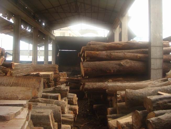 �D����˾�ľ��6܇�g �c���ɷŴ�