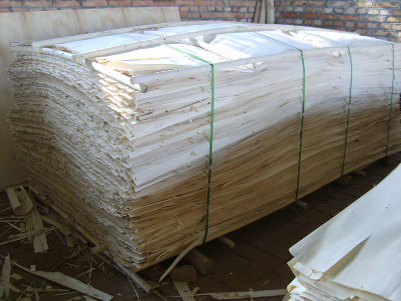 �D����ľƤ �c(di��n)���ɷŴ�