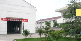 �D���S�� �c(di��n)���ɷŴ�