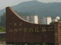 �D������ �c���ɷŴ�