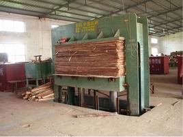 �D��܇�g�O(sh��)�� �c���ɷŴ�