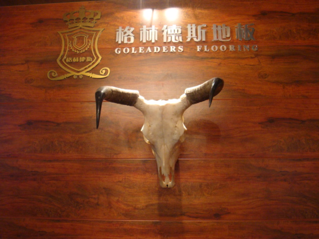 �D�����ֵ�˹���������� �c(di��n)���ɷŴ�