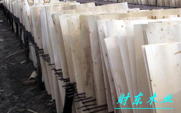 �D���������Ƥ �c���ɷŴ�