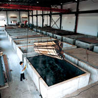 �D�����S �c(di��n)���ɷŴ�