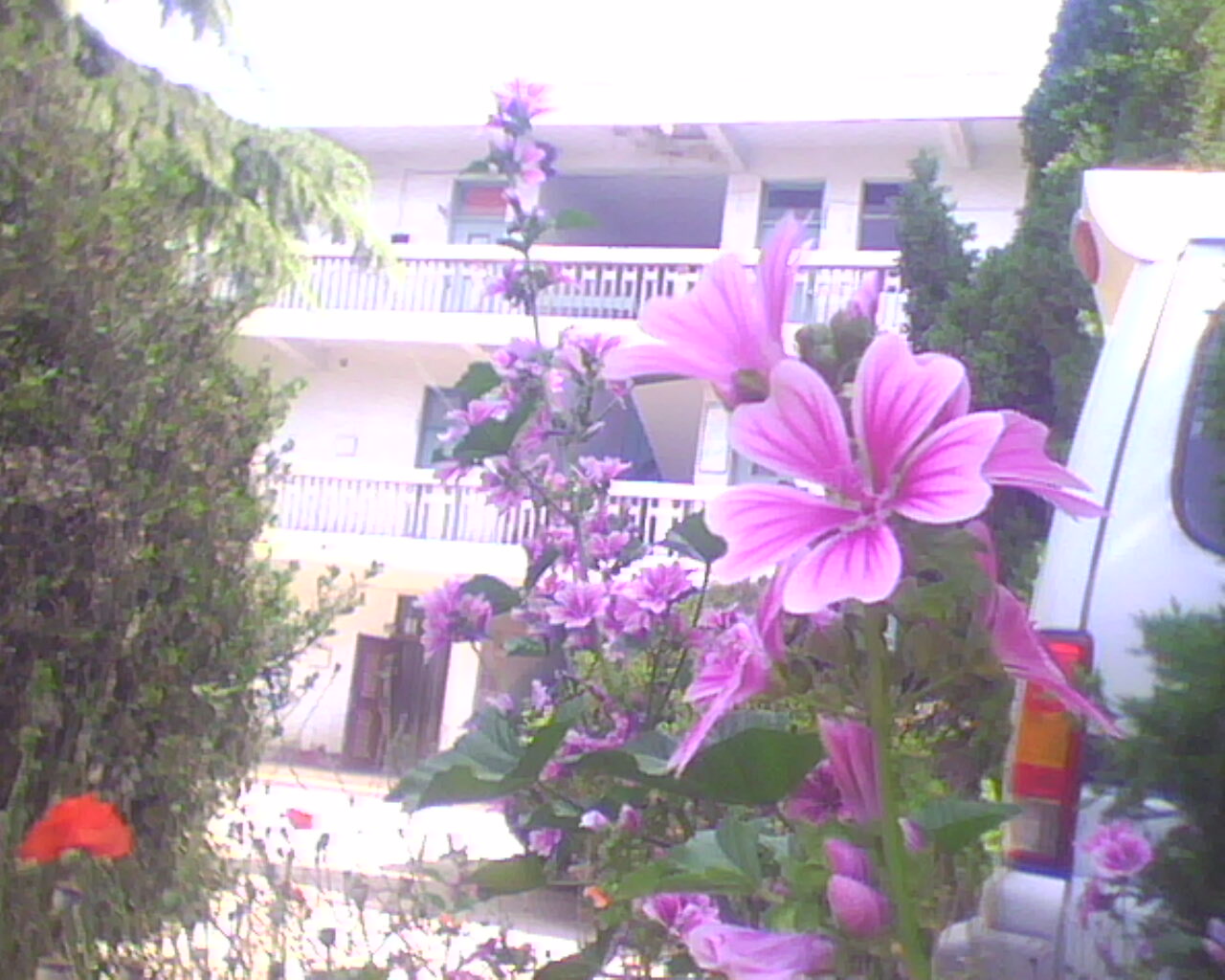 �D����˾�k���� �c(di��n)���ɷŴ�