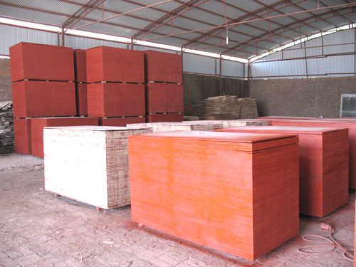 �D���}�� �c(di��n)���ɷŴ�