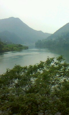 �D���ֈ� �c���ɷŴ�