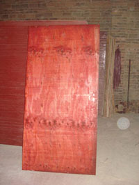 �D��Ĥ�� �c���ɷŴ�