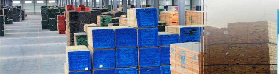 �D���}��һ�� �c���ɷŴ�