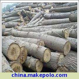 �D����ľ�� �c���ɷŴ�