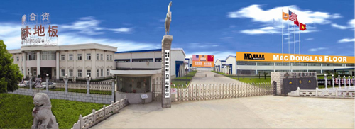 �D�������ذ�S�^(q��)����D �c���ɷŴ�